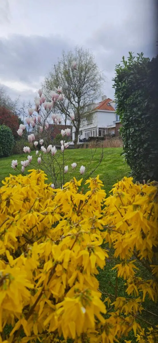 Image 6 of Verborgen Parel aan de Rotte