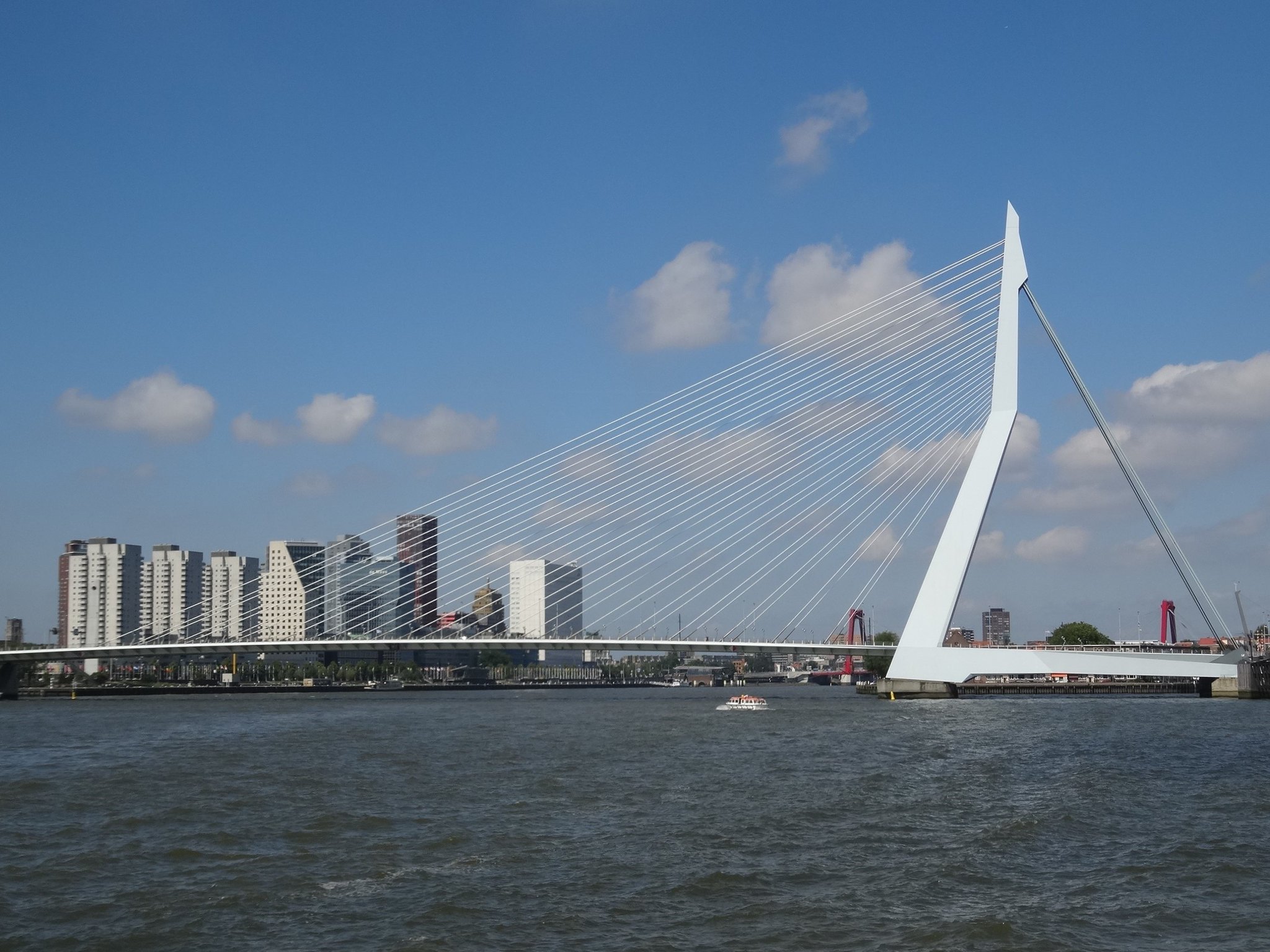 Erasmus Bridge